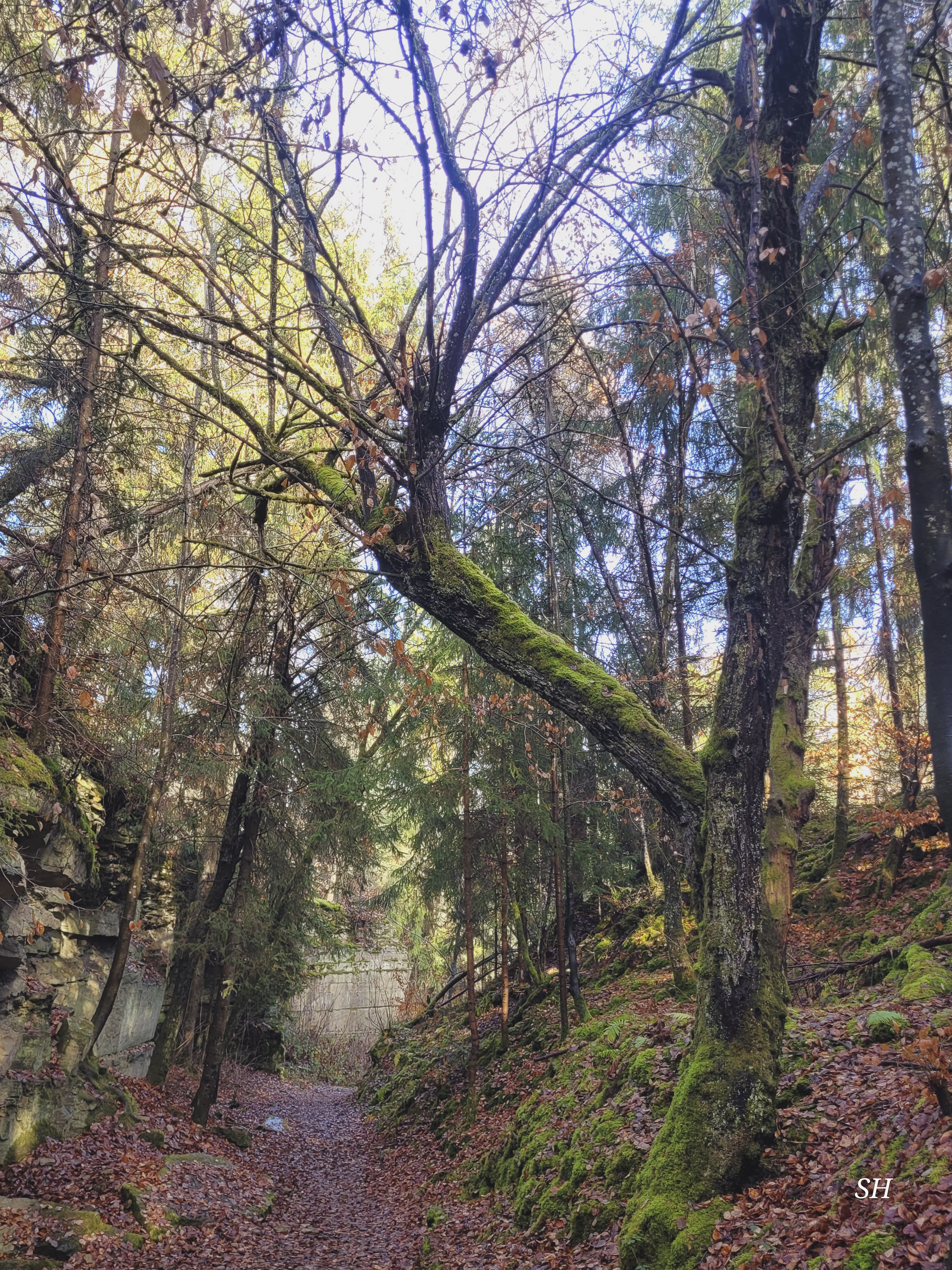 20251129122501 20251129 122500